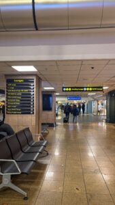 Director and Employee Travel Expenses