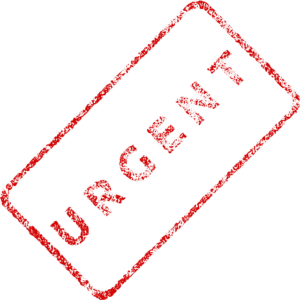 Advice for last minute tax return filing