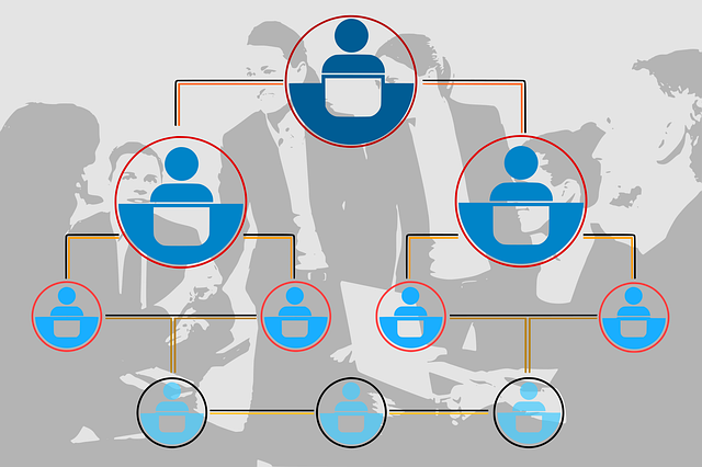 organization-chart-7467091_640 Benefits of Setting Up a Holding Company